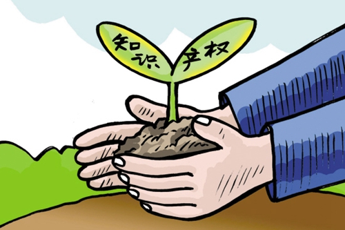 律師事務(wù)所維護(hù)知識產(chǎn)權(quán)