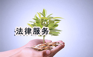 名律師法律咨詢平臺(tái)